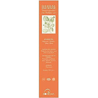 Amazon imagen 2