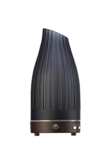 Amazon imagen 2