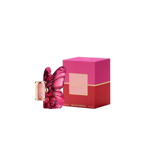 Amazon imagen 2