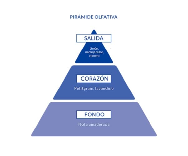 Amazon imagen 5