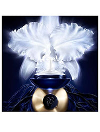 Amazon imagen 7