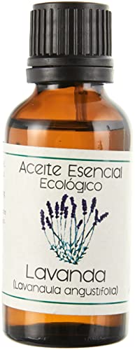 Amazon imagen 3