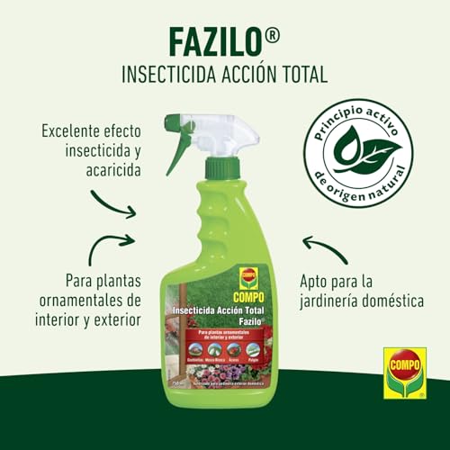 Amazon imagen 5