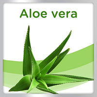 Amazon imagen 6