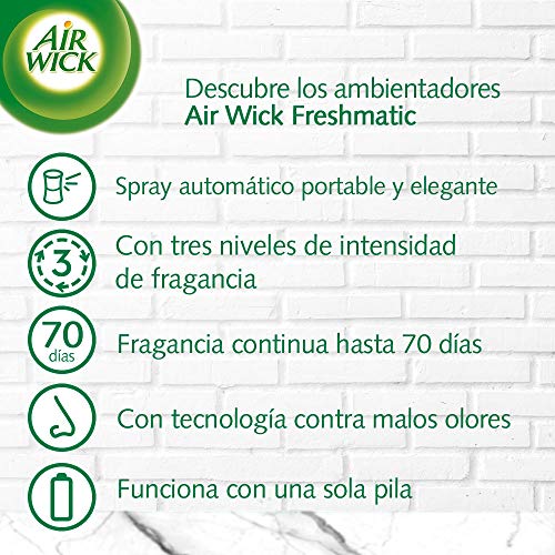 Amazon imagen 5