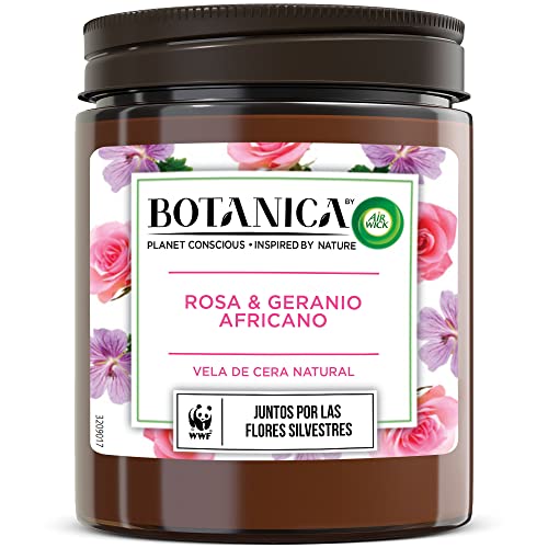 Amazon imagen 1