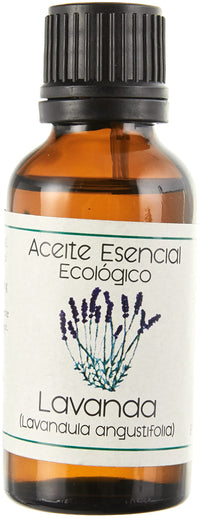 Amazon imagen 1