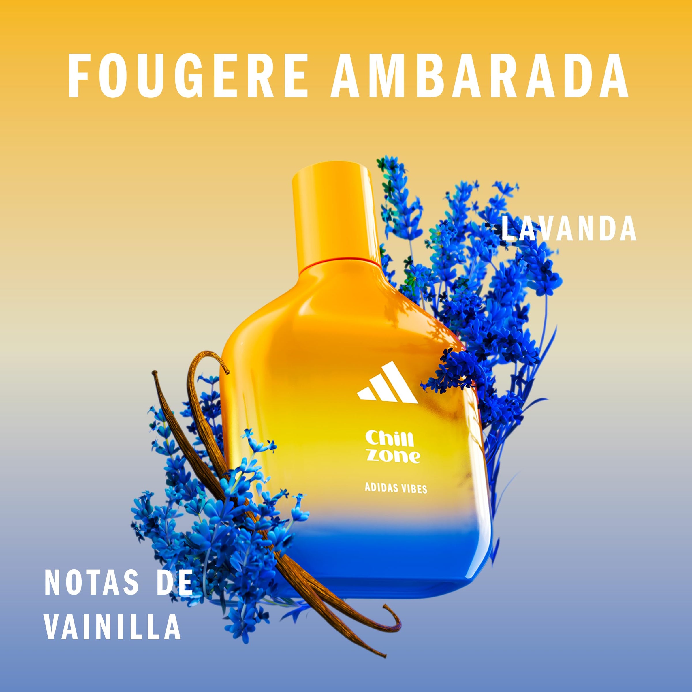 Amazon imagen 7