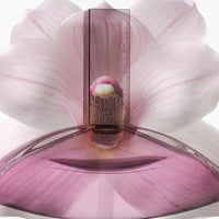 Amazon imagen 7