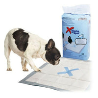 Amazon imagen 3